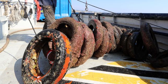 Sur l’« Océa », des milliers de pneus remontés à la surface au large d’Antibes