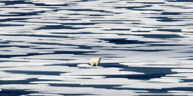 Réchauffement : « On approche du point de bascule où l’Atlantique va envahir l’Arctique »