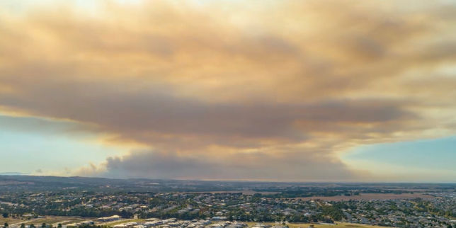 Le sud de l’Australie en proie à de violents feux de forêt