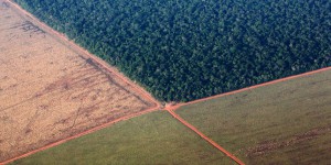 Au Brésil, la mise en place d’une politique de destruction de l’environnement