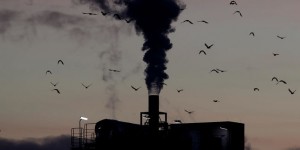 Coup d’arrêt pour le « pacte mondial pour l’environnement »