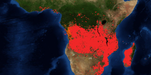 En Afrique centrale aussi, la forêt brûle