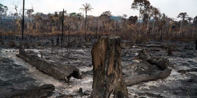 Incendies en Amazonie : « Le bolsonarisme apparaît dans toute sa puissance destructrice »