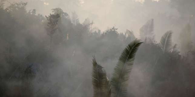 Incendies en Amazonie : un fléau saisonnier « amplifié par les prises de position de Jair Bolsonaro »