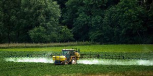 Contre les pesticides, le gouvernement propose une distance minimale de 5 à 10 mètres
