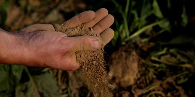 Agribashing : « Les changements que connaît l’agriculture dépassent largement les intérêts des exploitants »