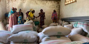 Au Cameroun, des banques de céréales pour lutter contre la faim