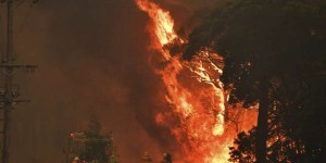 Australie : face aux incendies, des milliers de personnes contraintes d’évacuer