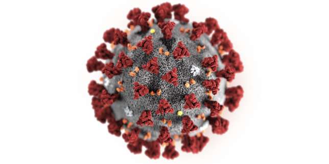 Ce que l’on sait sur le coronavirus en dix questions