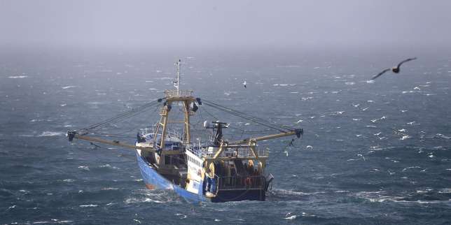 Pour les pêcheurs français, « du jour au lendemain, le Brexit est devenu concret »