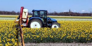 Pesticides : les limites d’épandage examinées par le Conseil d’Etat