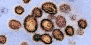 Le coronavirus, « arme biologique » ? Le vrai du faux d’une vidéo virale