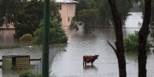 Le sud-est de l’Australie vit l’une des pires inondations depuis soixante ans, Sydney évacue une partie de ses habitants