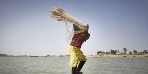 Au Mali, le delta du fleuve Niger à la confluence des maux sahéliens