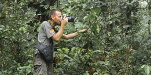 Or jaune contre or vert : en Guyane, l’Amazonie prise en étau entre l’attrait des pépites et la protection de la biodiversité