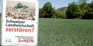 Les Suisses doivent se prononcer sur des questions touchant le climat et l’environnement