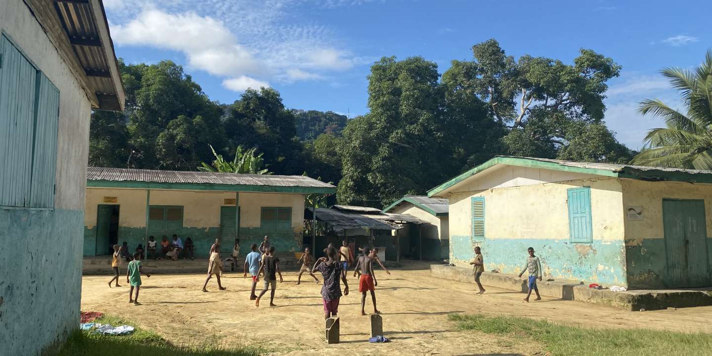 Au Cameroun, les Pygmées misent sur l’école « pour sauver » leurs forêts de la destruction