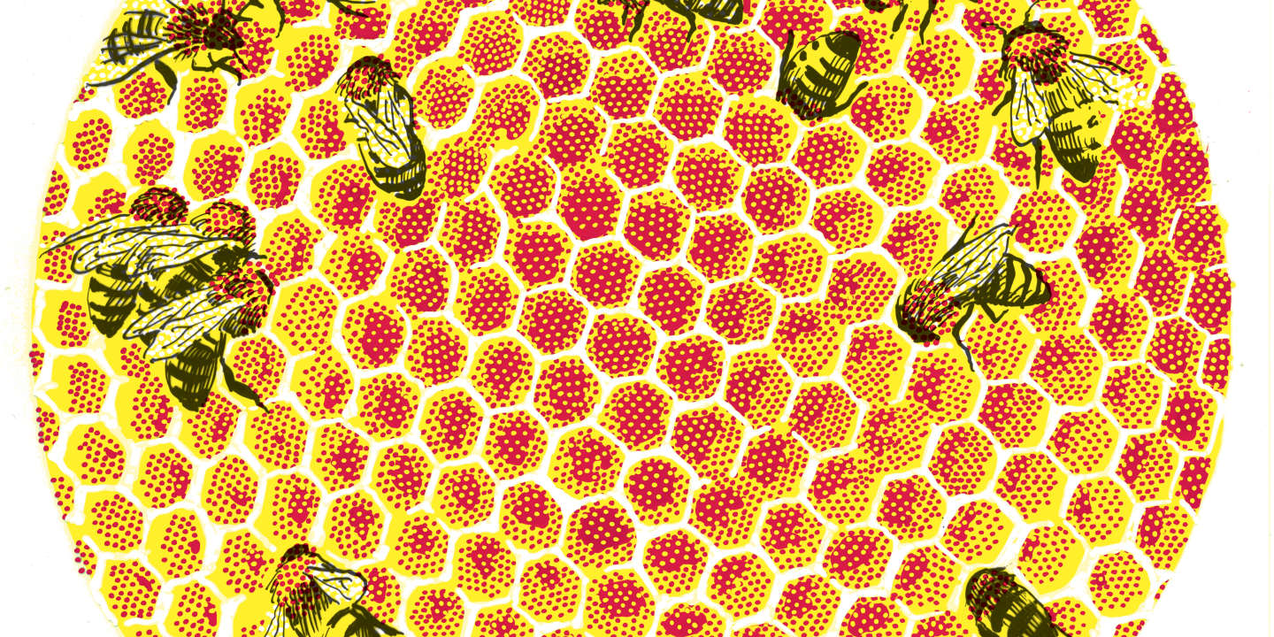 L’abeille, animal politique, fait le miel de tous les idéologues
