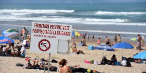 Les plages du Pays basque sous haute surveillance après l’apparition d’une nouvelle algue toxique