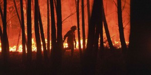 Au Portugal, l’Algarve en proie à un important feu de forêt