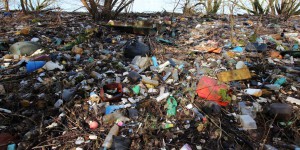 La Seine, piège à déchets et « usine à microplastiques »