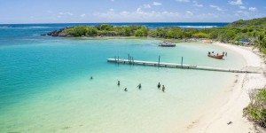 Vingt nouveaux sites, dont la Martinique, font leur entrée dans le réseau mondial des réserves de biosphère