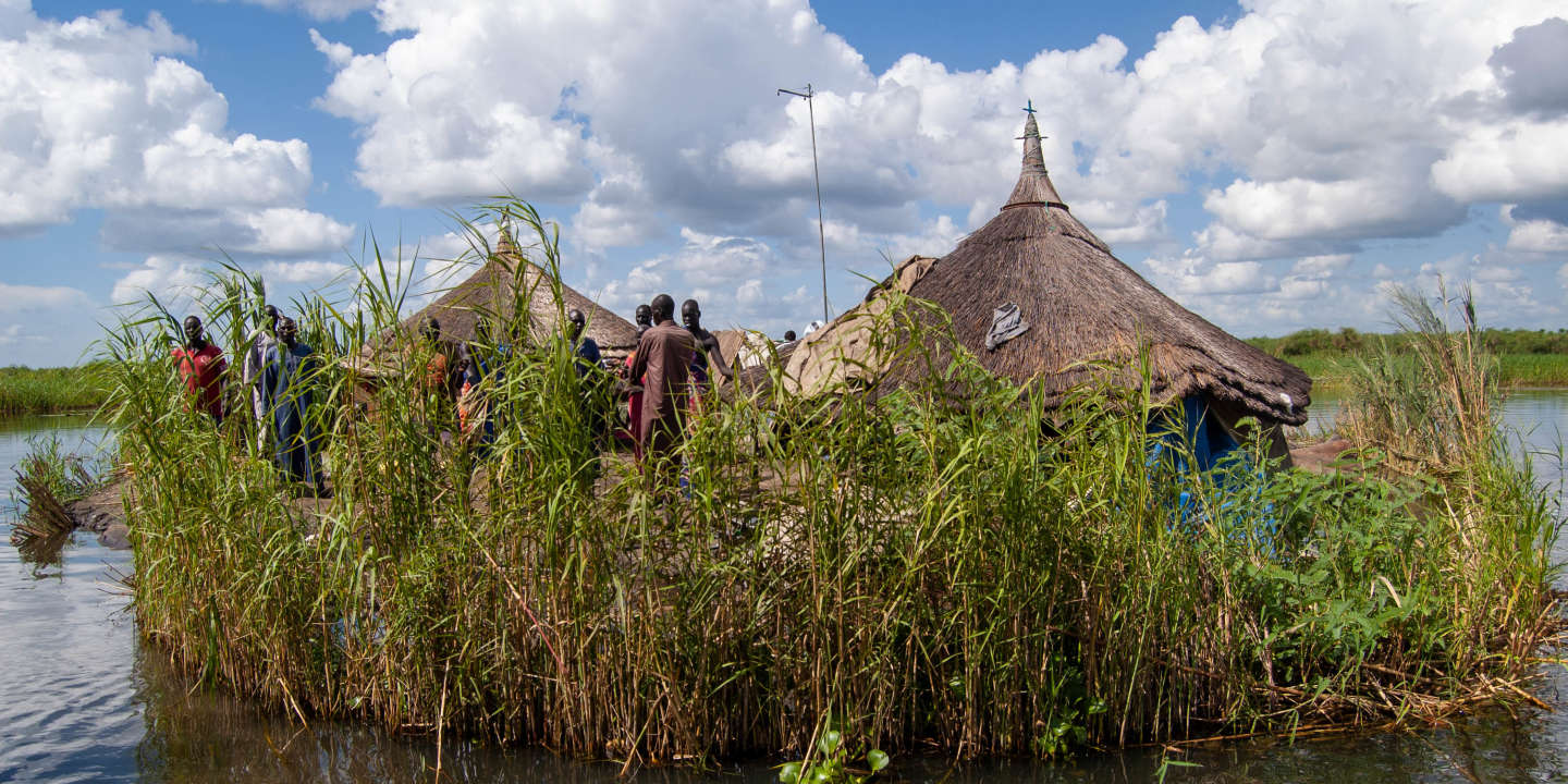 Soudan du Sud : ces pêcheurs qui vivent sur des îles construites de leurs mains