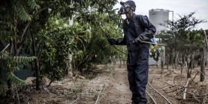 Pesticides : la nouvelle hégémonie chinoise