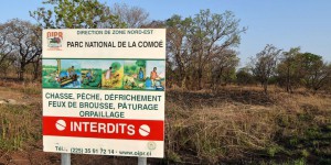 En Côte d’Ivoire, l’ONG African Parks lorgne le parc national de la Comoé