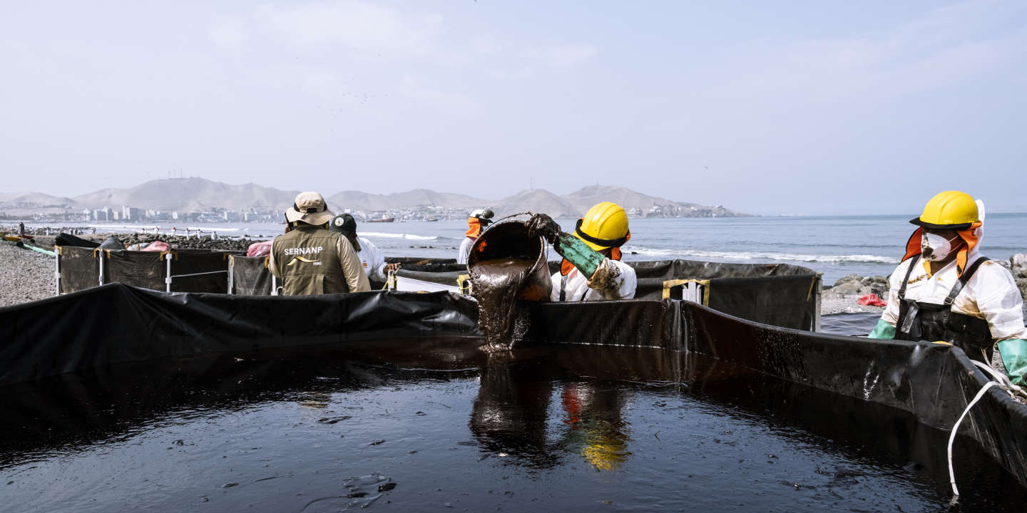 Marée noire au Pérou : des « pertes irréparables »