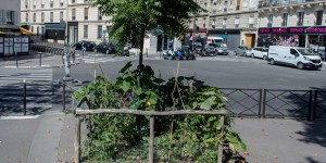 A Paris, Anne Hidalgo signe la fin des « permis de végétaliser »