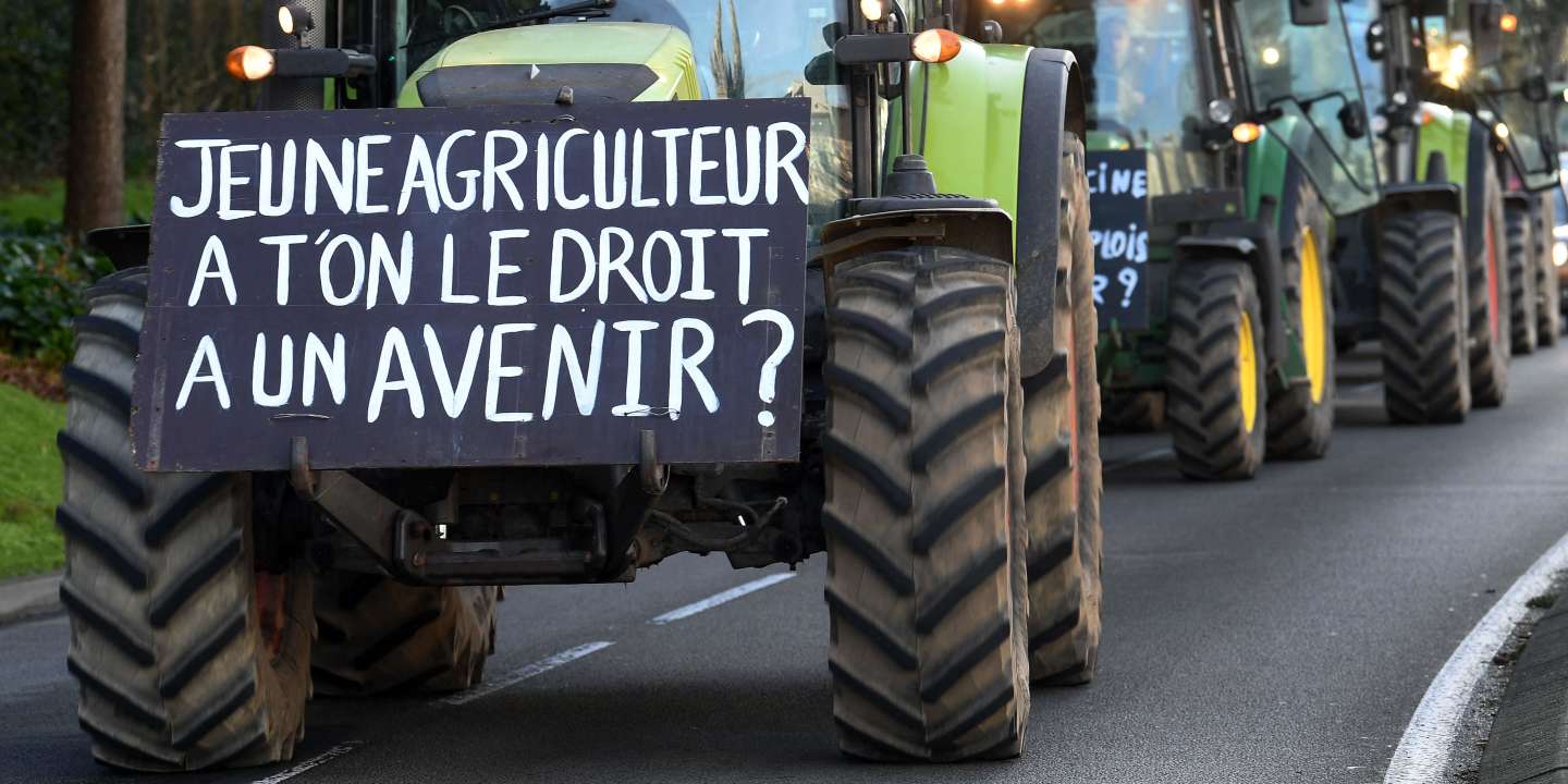 Agriculture : « Pour une révolution paysanne qui tienne compte de la complexité de l’environnement et renoue avec le vivant »