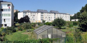 Un « plan alimentaire territorial » pour la Seine-Saint-Denis, département parmi les plus peuplés et urbanisés de France