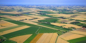 Agriculture : « Les sols occupent une place centrale bien qu’invisible dans tous nos systèmes de production et de consommation »