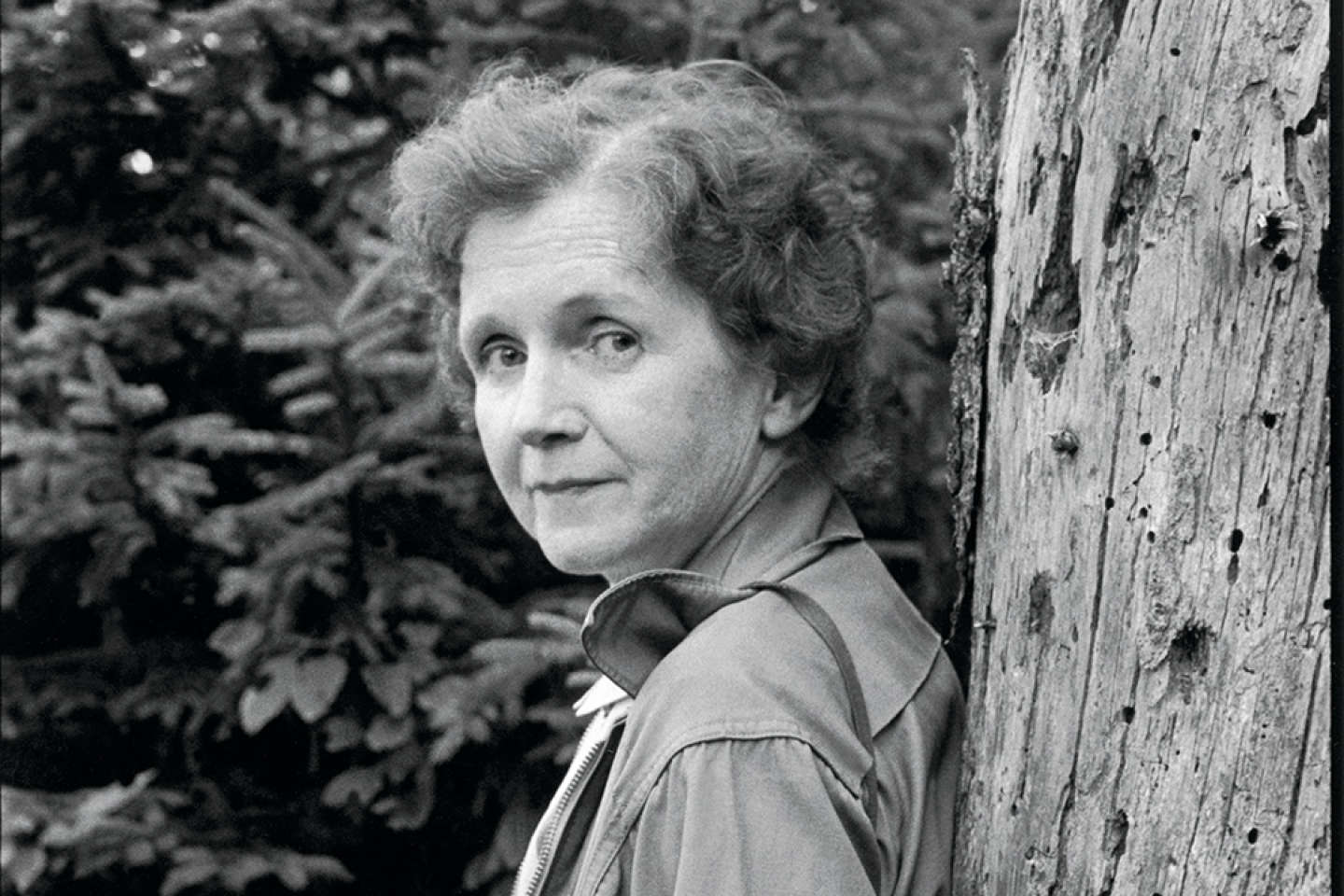 « C’est la première grande lanceuse d’alerte » : la légende de Rachel Carson, pionnière de l’écologie politique