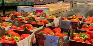 Les résidus de pesticides pourraient annuler le bénéfice sanitaire des fruits et légumes