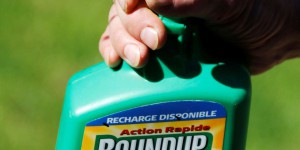 Etats-Unis : la Cour suprême rejette la demande de Monsanto de faire cesser les poursuites contre le Roundup