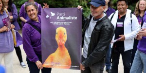 Législatives 2022 : le Parti animaliste signe un score en demi-teinte