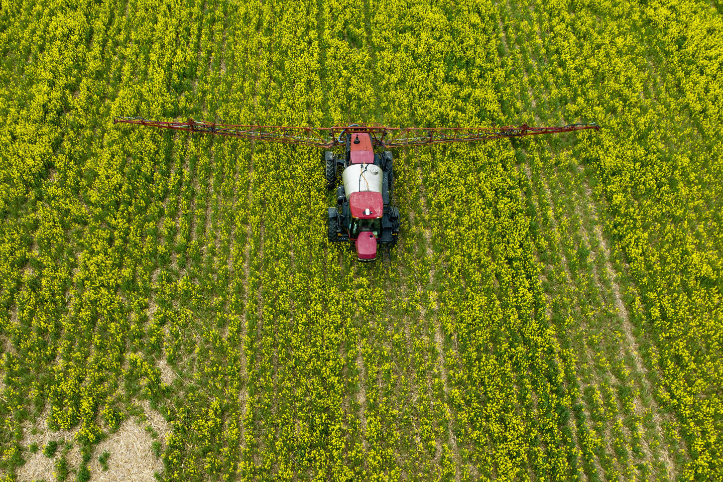 Pesticides dangereux : « Le Monde » maintient ses informations après la contestation de deux études