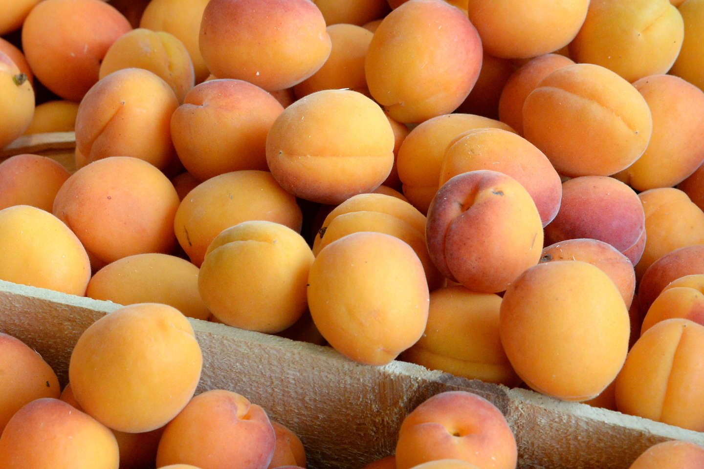 « Les producteurs d’abricots s’attendent à un repli du prix cette année, après, il est vrai, un sommet atteint en 2021 »