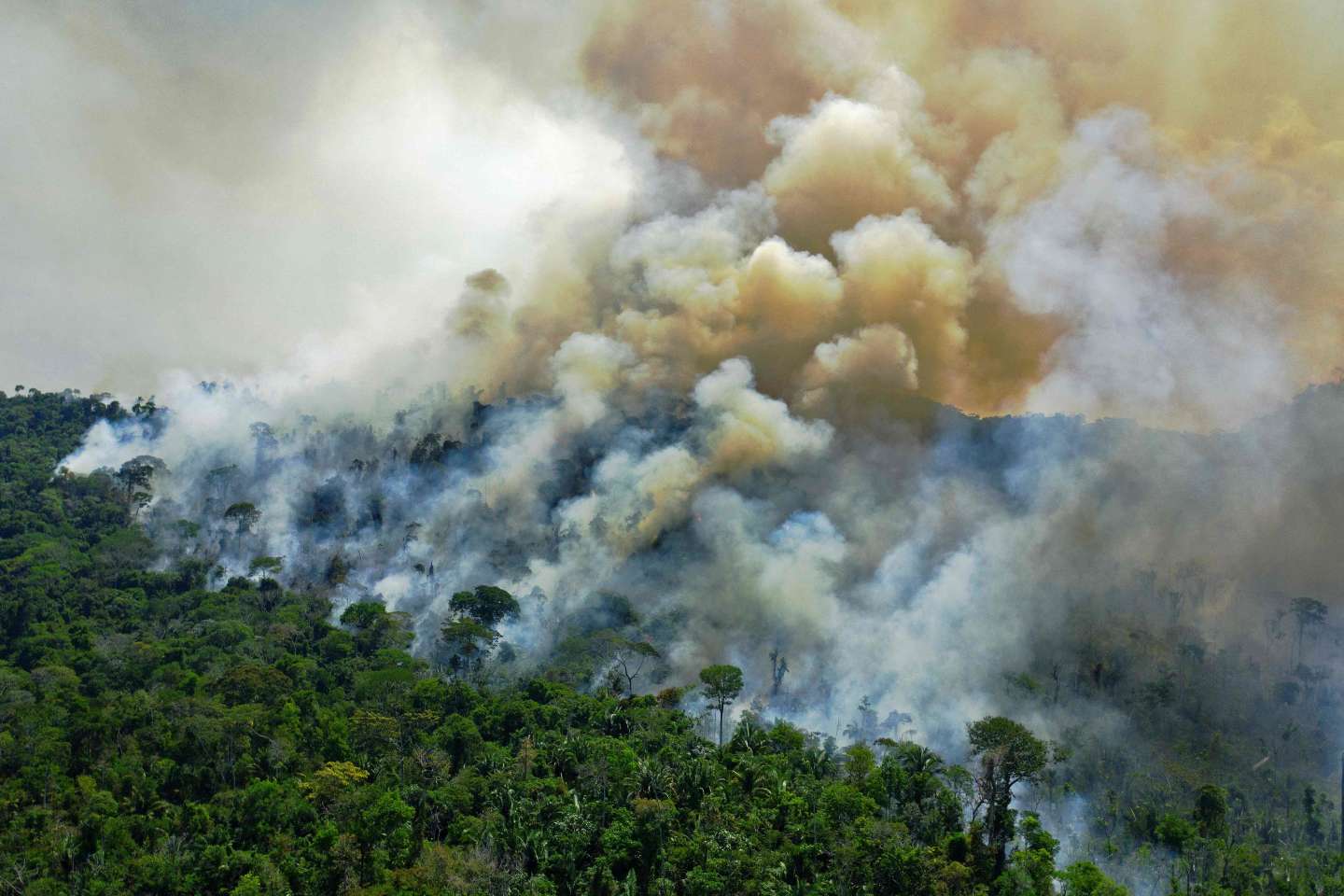 Le Brésil bat son record d’incendies en Amazonie depuis 15 ans