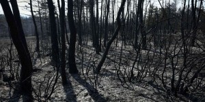 Incendies : plus de 1 200 hectares brûlés dans l’Aveyron ; en Gironde, la pluie offre un répit, mais « les risques de reprises persistent »