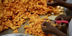 L’épopée de la mangue du Burkina, ou comment « l’or orange » a conquis nos assiettes