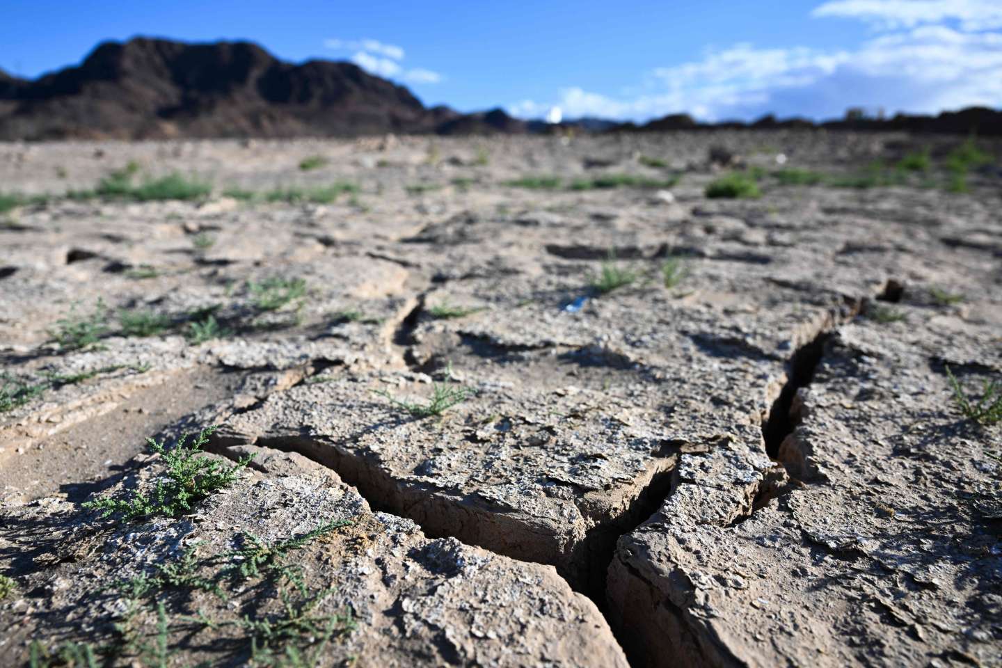 Dans l’ouest des Etats-Unis, la sécheresse proche du « point de non-retour », Washington contraint de rationner l’eau du Colorado