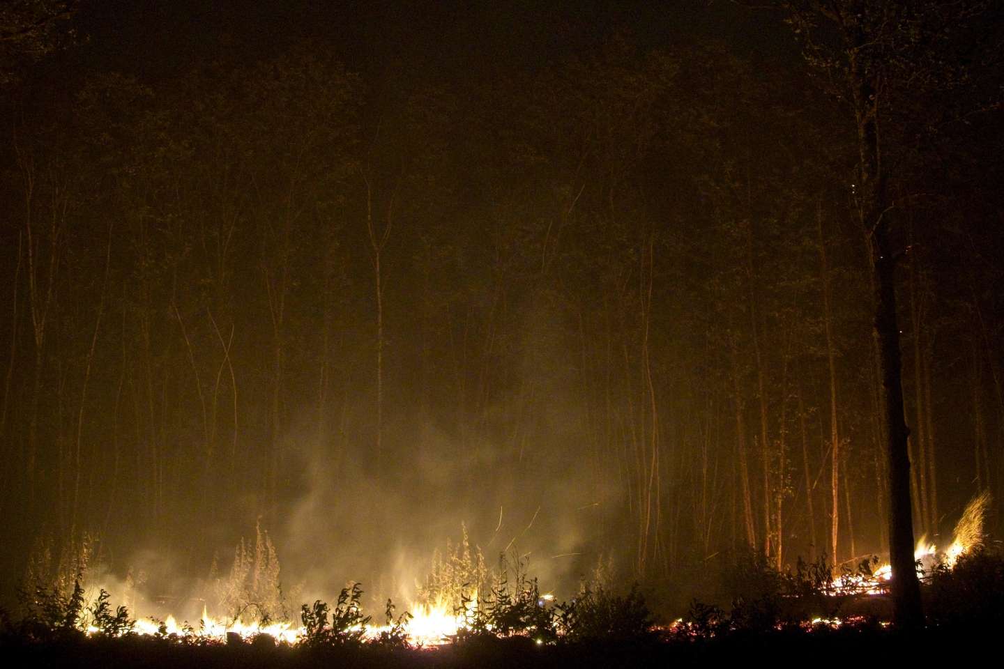 En Maine-et-Loire, les deux principaux feux fixés