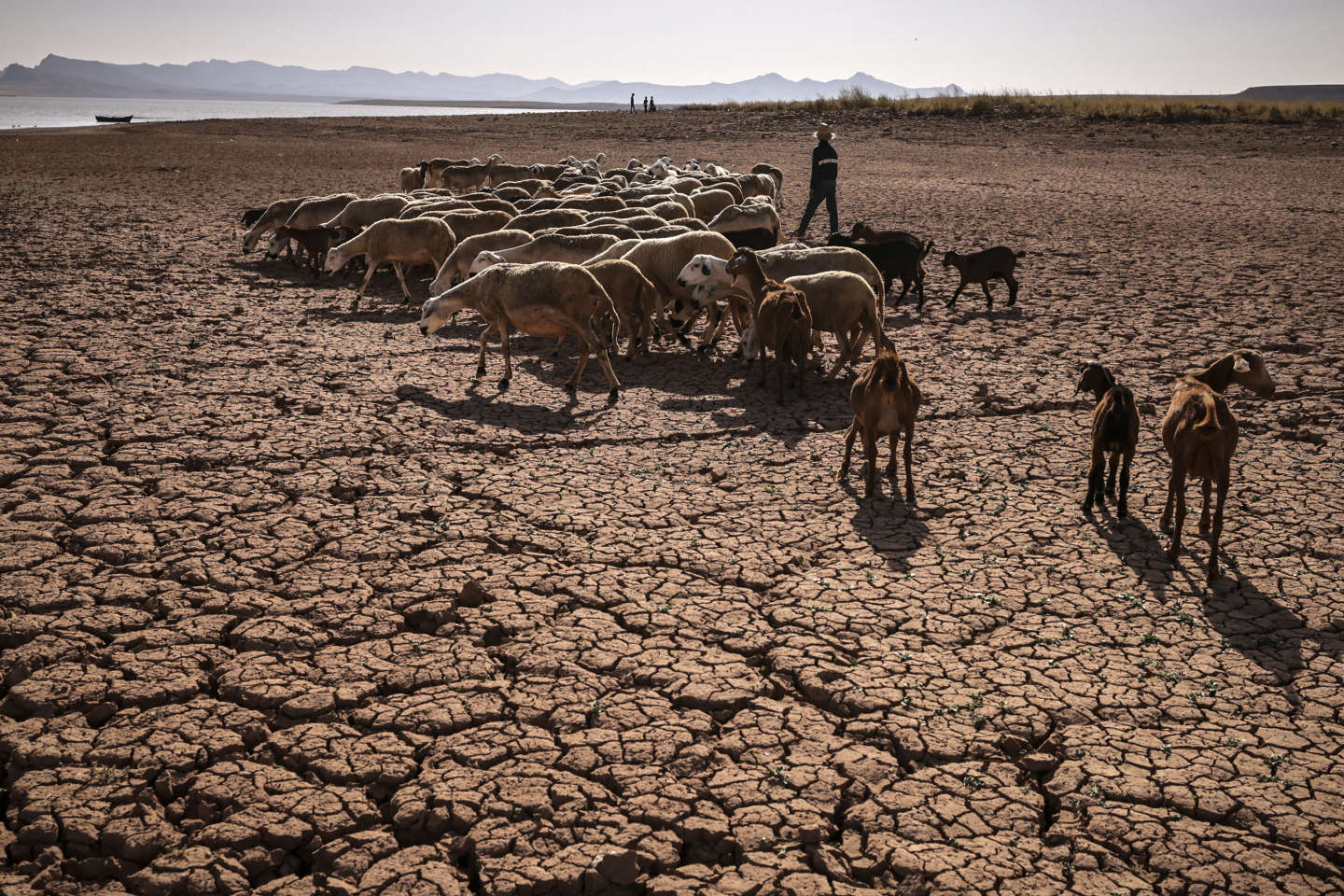 Au Maroc, le manque d’eau désespère les villages