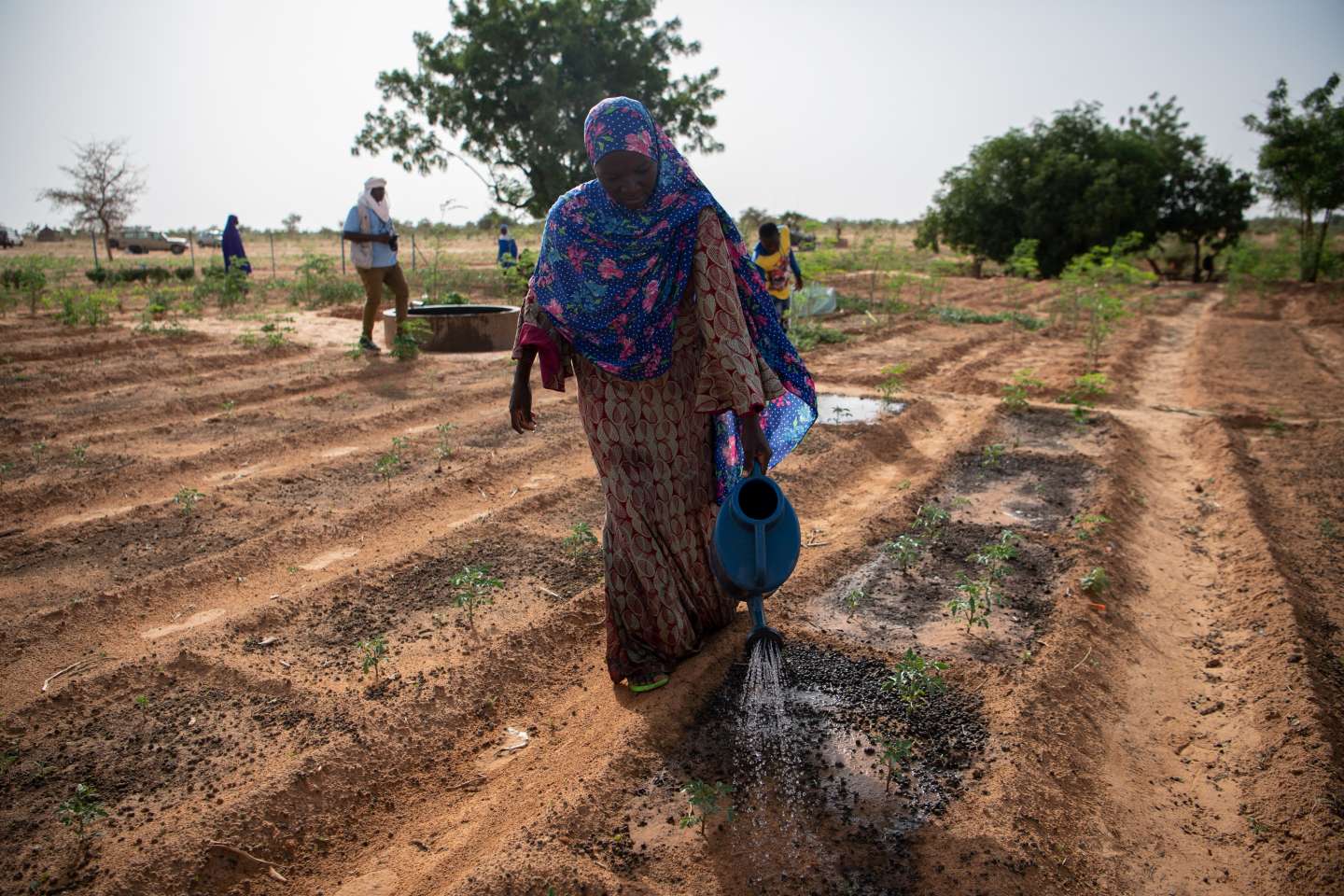 Le Niger provoque la pluie pour éloigner le spectre de la sécheresse