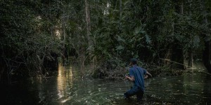 En RDC, les tourbières de Lokolama, insondable piège à carbone