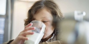 La saga humaine de la digestion du lait retracée par des chercheurs