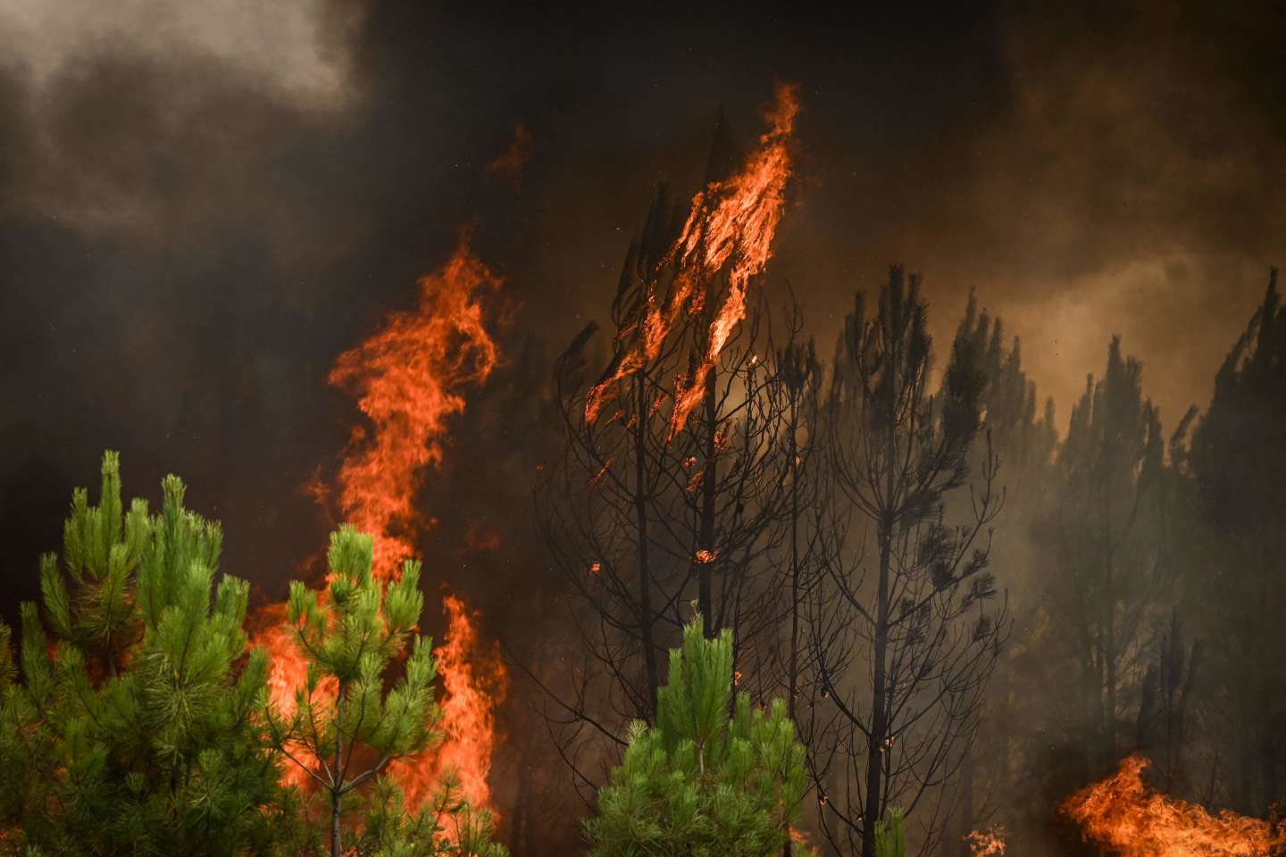 Le soupçon de la pyromanie sur les incendies de l’été